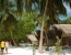 Adaaran Select Hudhuran Fushi