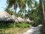 Bandos Island Resort & Spa