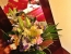 Grand Midwest Reve Hotel Apartments Dubai
