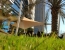 Grand Midwest Reve Hotel Apartments Dubai