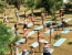 Holiday Garden Resort