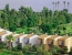 IC Hotel Santai Family Resort
