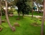 Jeans Club Hotels Saphire
