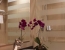 Radisson Blu Hotel, Dubai Downtown