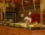 Silence Beach Resort