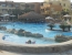 The Grand Plaza Hotel