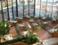 The Grand Plaza Hotel